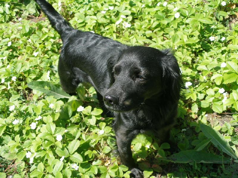 Foto: Ketyne�ka-Ketynka na zahrad�