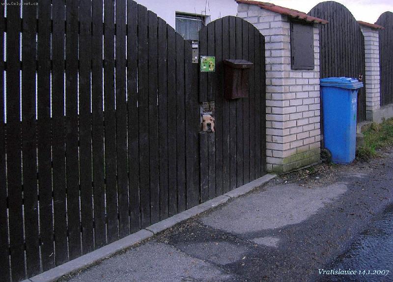 Foto: SECURITY-situa�n� fotografie