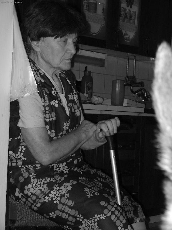 Foto: �ek�m n�v�t�vu...