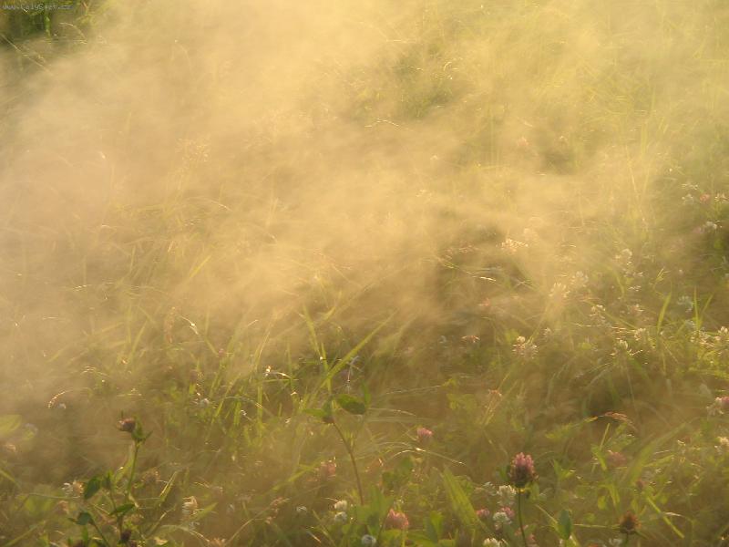 Foto: Z�hadn� kou�