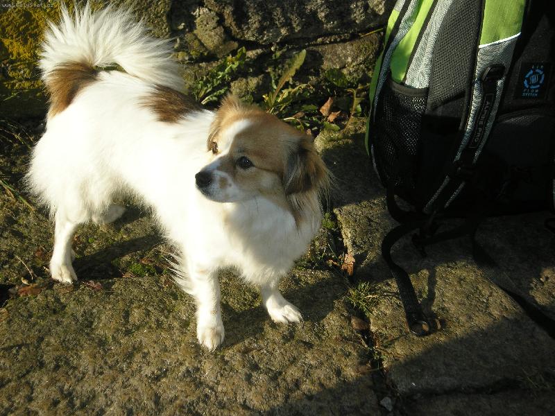 Foto: Zimni proch�zka-tady na fote�ce je m�j vo��ek