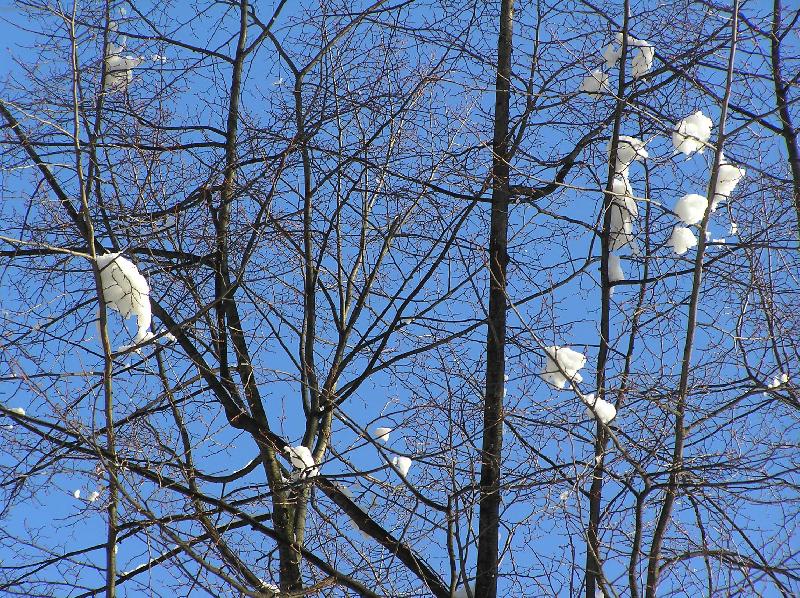 Foto: Zima v Ostrav�