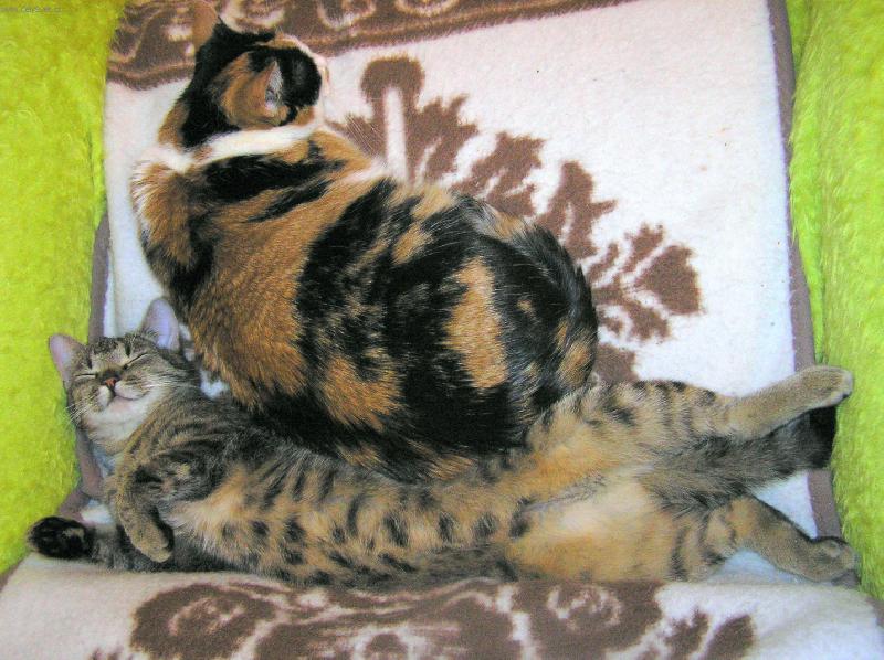 Foto: Jauvajs...posu� se kousek...!-Tyg��k a �i�ul�na