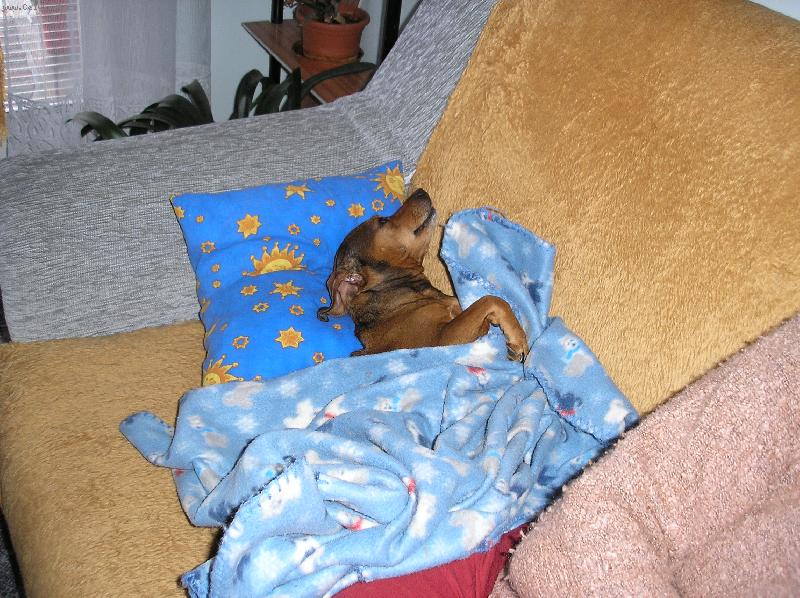 Foto: NA�E ZORKA-Lep�� u� to nem��e bejt.Haf.