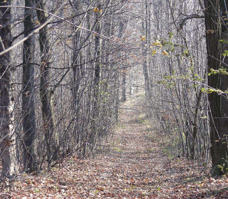 Foto: Ani�ka-Podzim