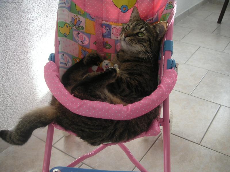 Foto: u� jsem p�ipraven�, m��eme jet