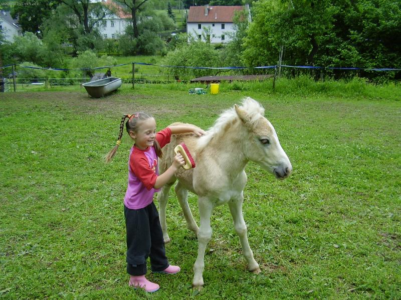 Foto: na�i mil��kov�