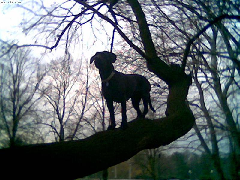 Foto: na�e Sena-kr�sn� za ka�d�ho po�as�