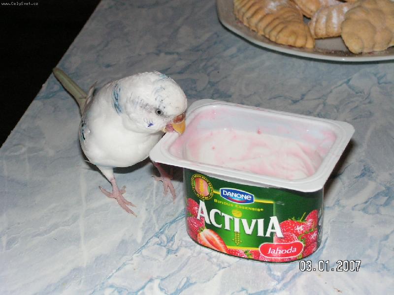 Foto: Andul�k Honz�-Kone�n� mi dali zase n�co zdrav�ho