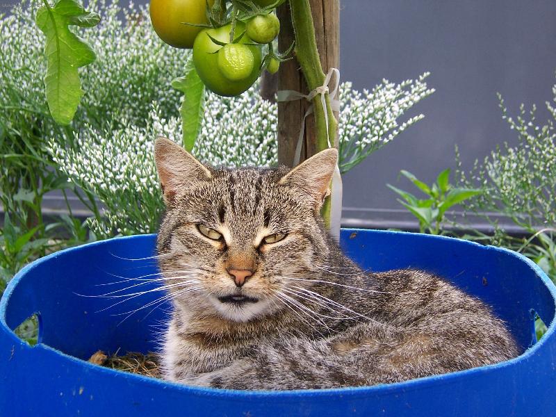 Foto: Pohodi�ka :)