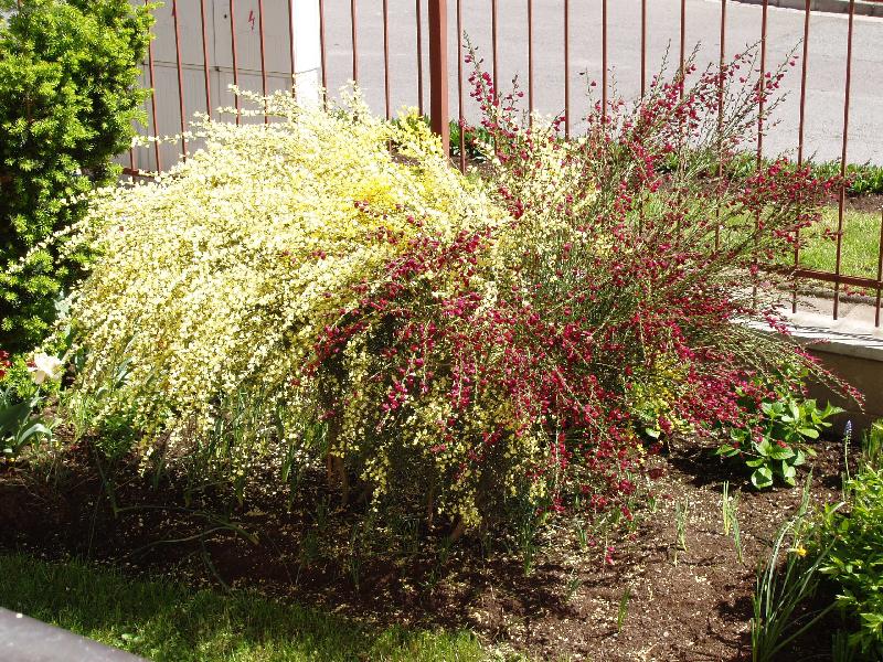 Foto: �ilimn�k-�erveno-�lut� vodop�d