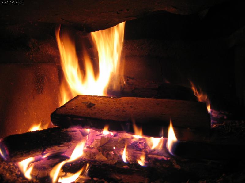 Foto: �ivel,co v�echno sp�l�-Vzt�hne� ruku a c�t� teplo,j� ten ��r v sob� chov�m ji� od narozen�. V cel�m "t�le".M� jm�no je OHE�