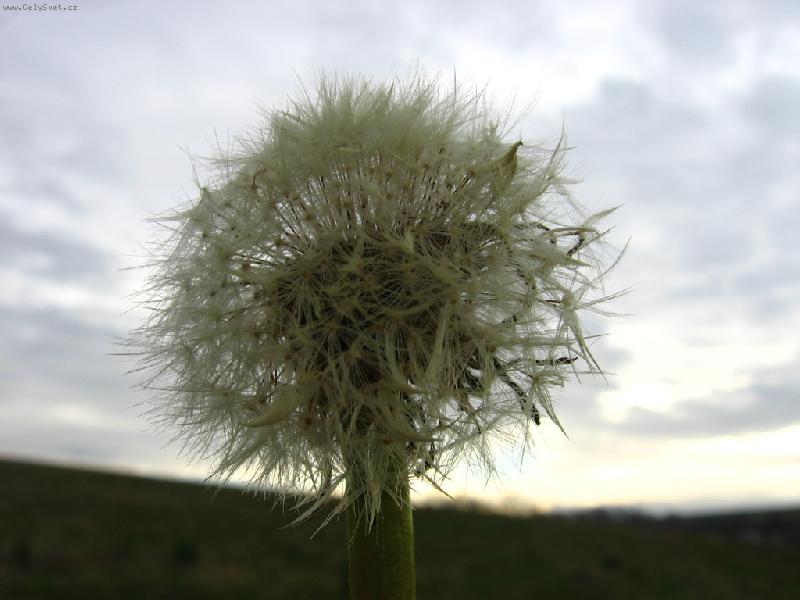 Foto: v lednu a toto!