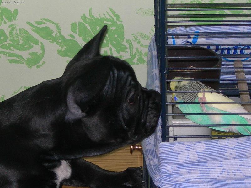 Foto: To je ale l�ska,co?