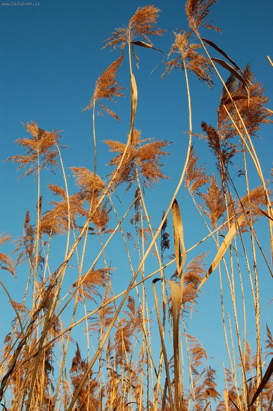 Foto: R�kos-tam za vodou v r�kos�