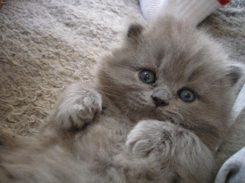 Foto: m�au