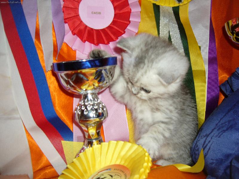 Foto: Budouc� v�t�z