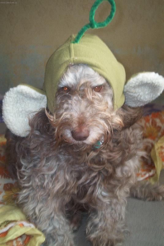 Foto: M�ja-A je tu nov� teletab�s jm�nem M�JA