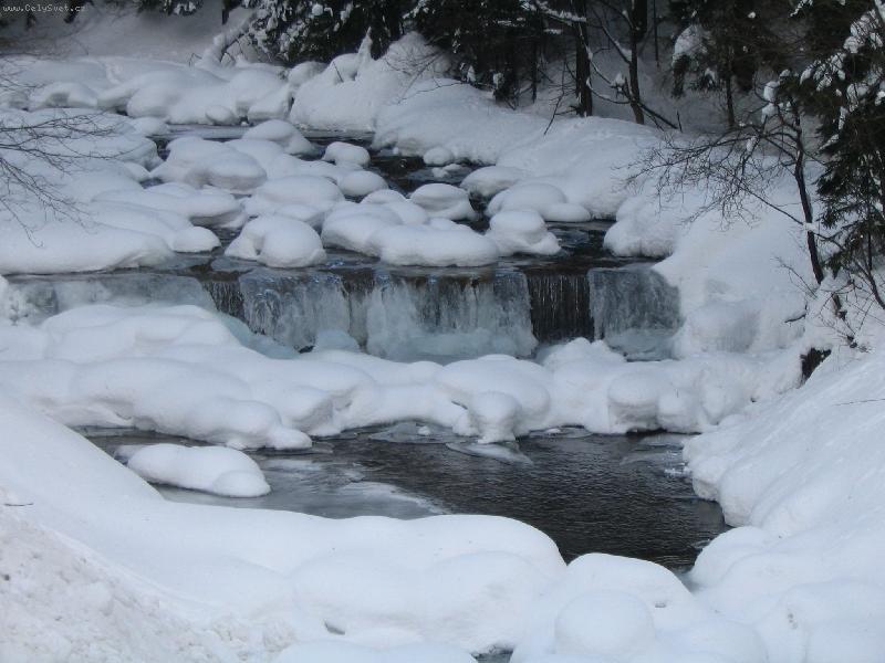 Foto: P��rodn� kr�sa-Te�e pot��ek bublav�