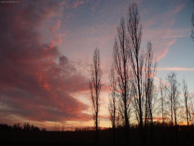 Foto: Stm�v�n�-kouzlo zimn�ho stm�v�n�, p��roda, stromy