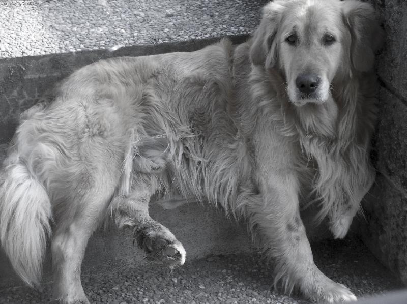 Foto: Lucky