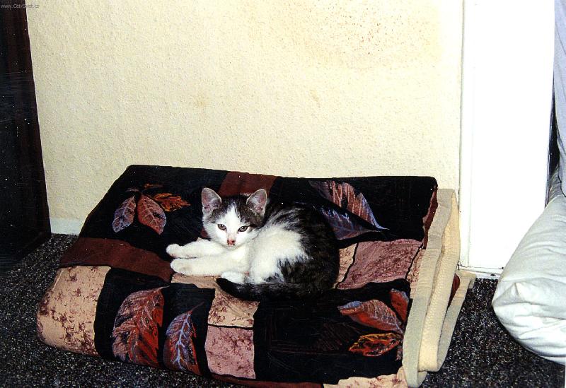 Foto: J� jsem Kul�ek