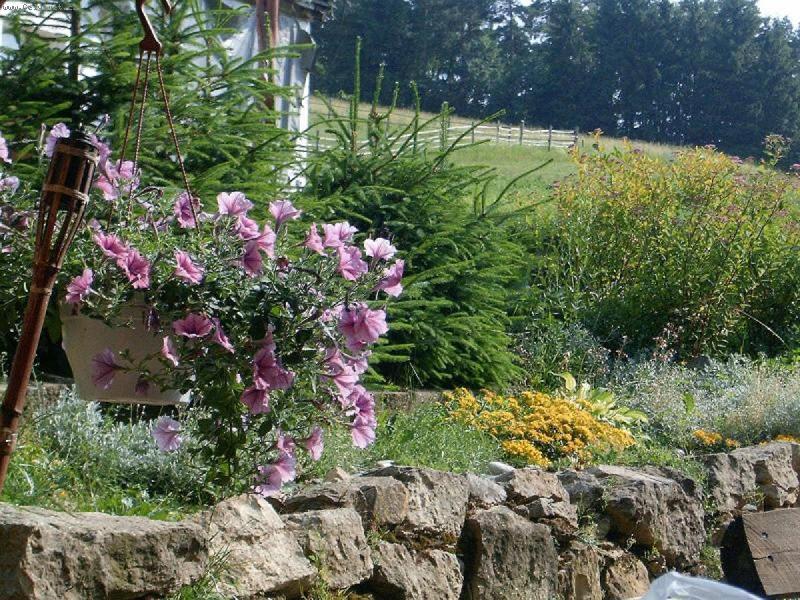 Foto: Smesice rostlin