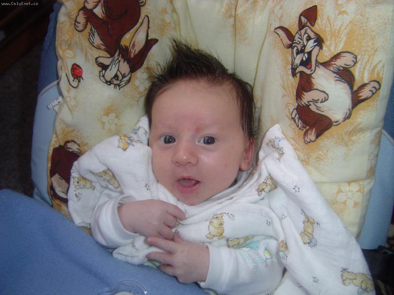 Foto: P�ni! To kouk�m!-Na�e m�s��n� zlat��ko