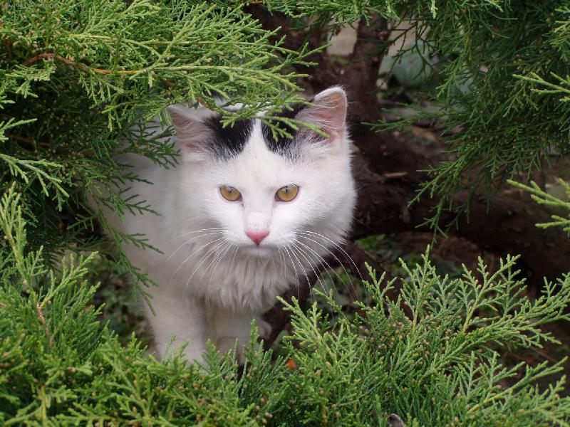 Foto:  n� Kevin-po r�nu nic moc