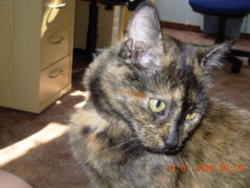 Foto: �i�mondek-Na�e modelka:o)