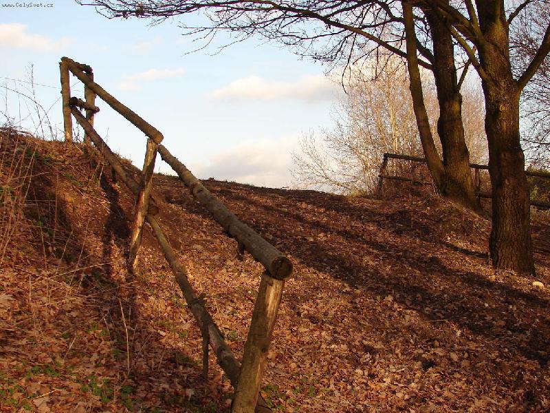 Foto: cesta z m�sta