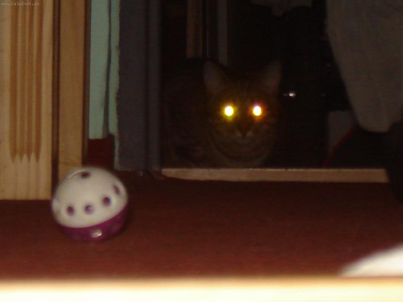 Foto: Mimozem��an