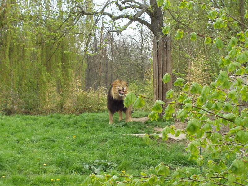 Foto: KO�I�� KR�L