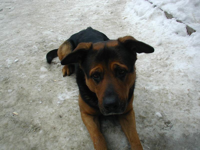 Foto: Moje �t�n�