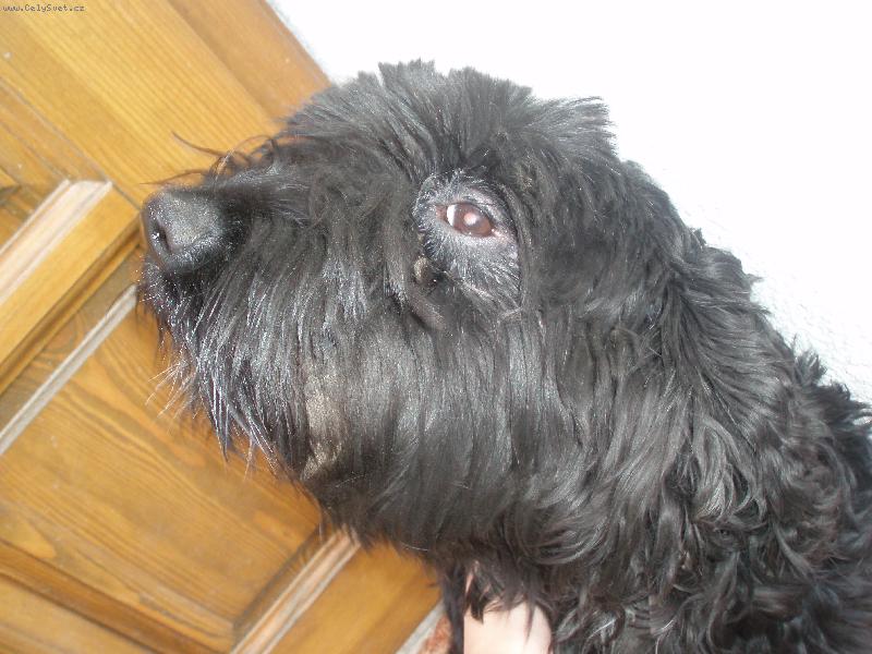 Foto: bella-Je�t� prot���hnout...