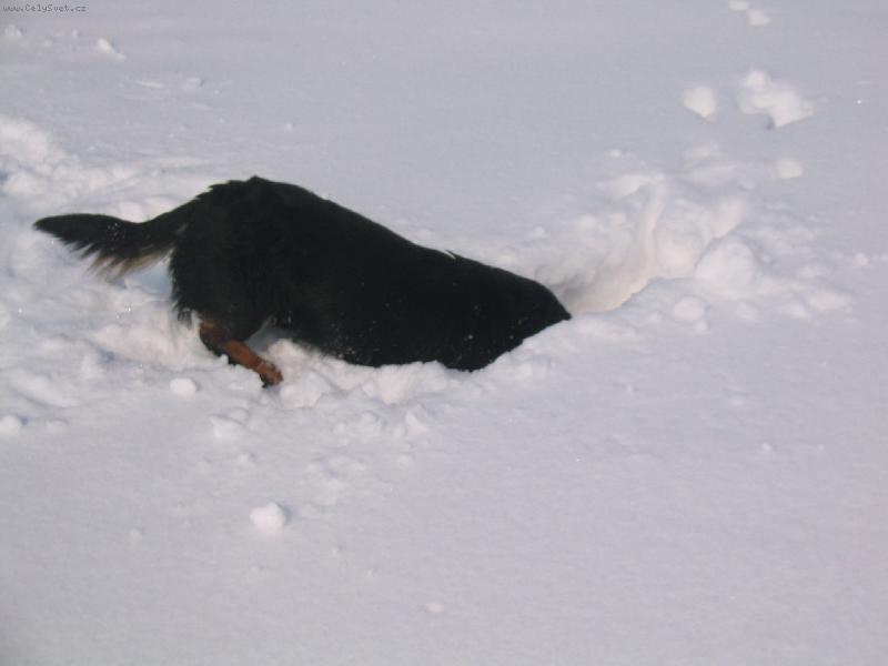 Foto: J� t� najdu!