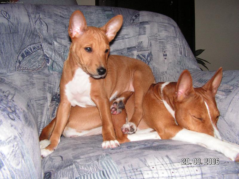 Foto: A m�m t� !