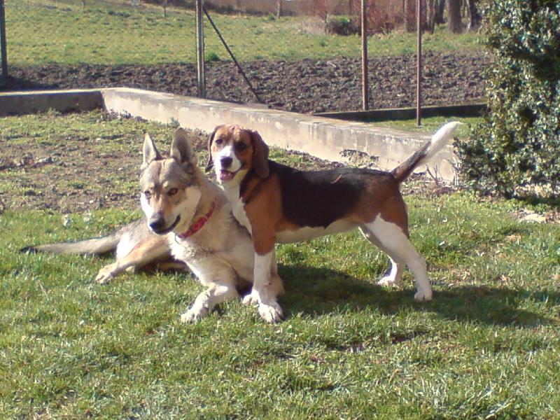 Foto: Bonny a Obi-B�glova hrdost a neustupnos