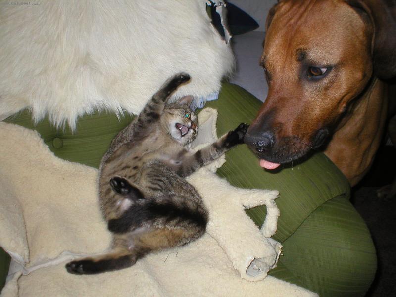 Foto: Hmm... mnam, mnam, mnam