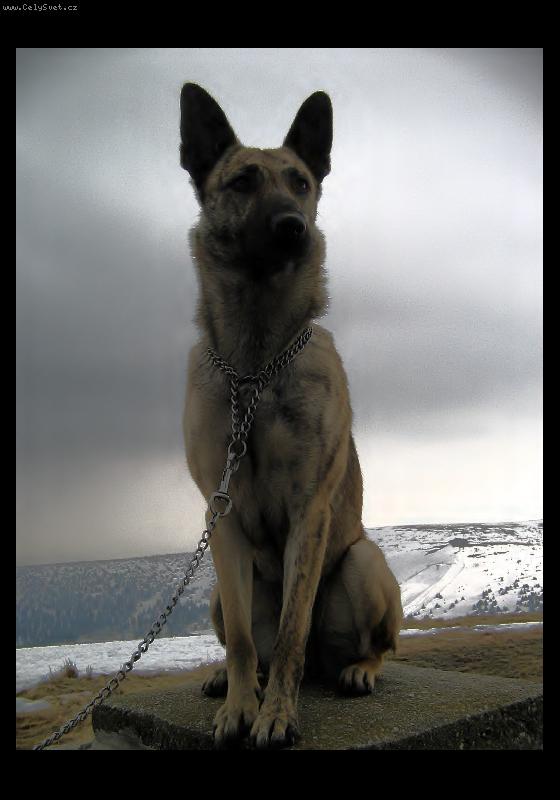 Foto: Sfinga na Prad�du-Carmen