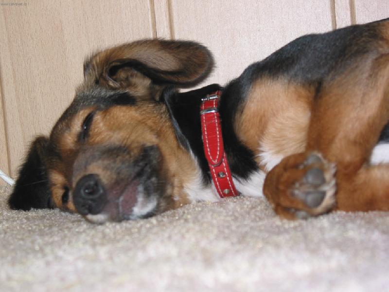 Foto: U� m� nefo�-Bobinka - 4 m�s�ce