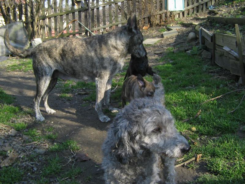 Foto: V�ichni p�kn� do �ady!-Podivn� sme�ka :)