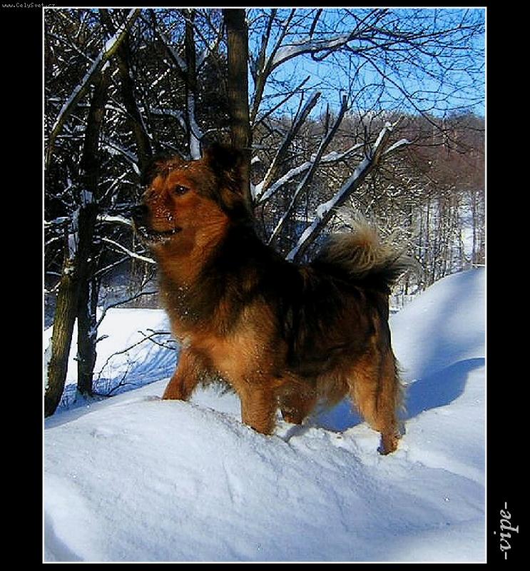 Foto: Na sn�hu-Michal