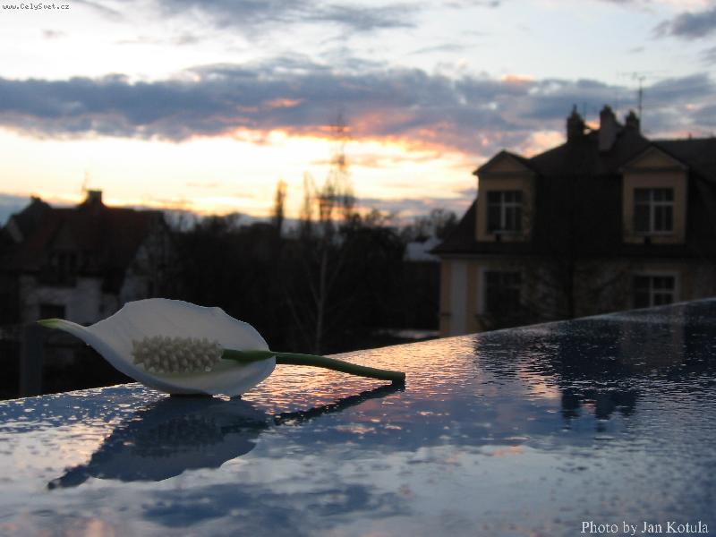 Foto: Ve�ern� abstrakce-Vyfoceno na mokr�m z�br�dl� mostu, Ostrava 2006