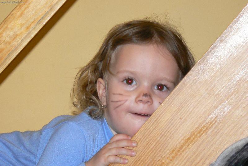 Foto: Ko�i�ka Eli�ka-kdy� se fot� ko�ka :o)