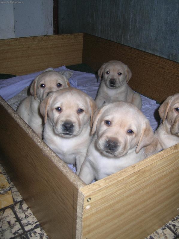 Foto: �t�n�