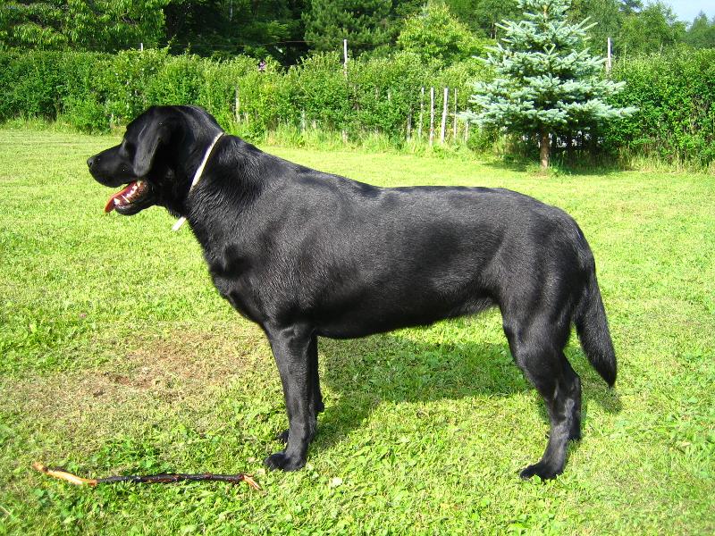 Foto: Tina-Postoj