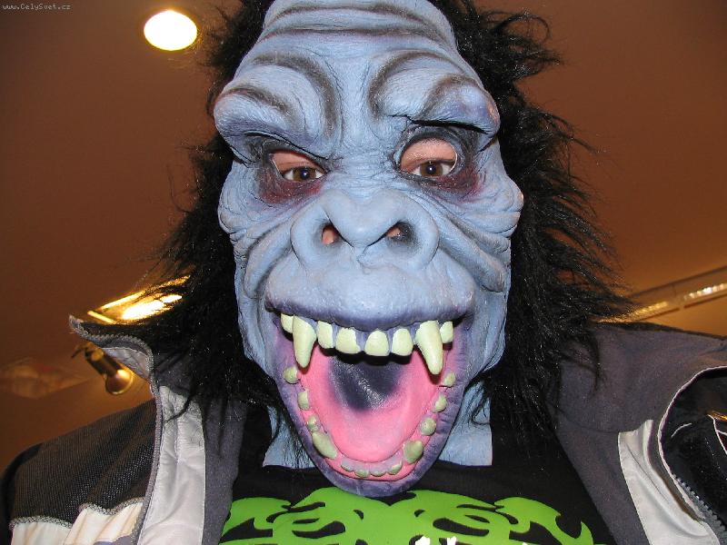 Foto: M�j man�el je prost� zv��e