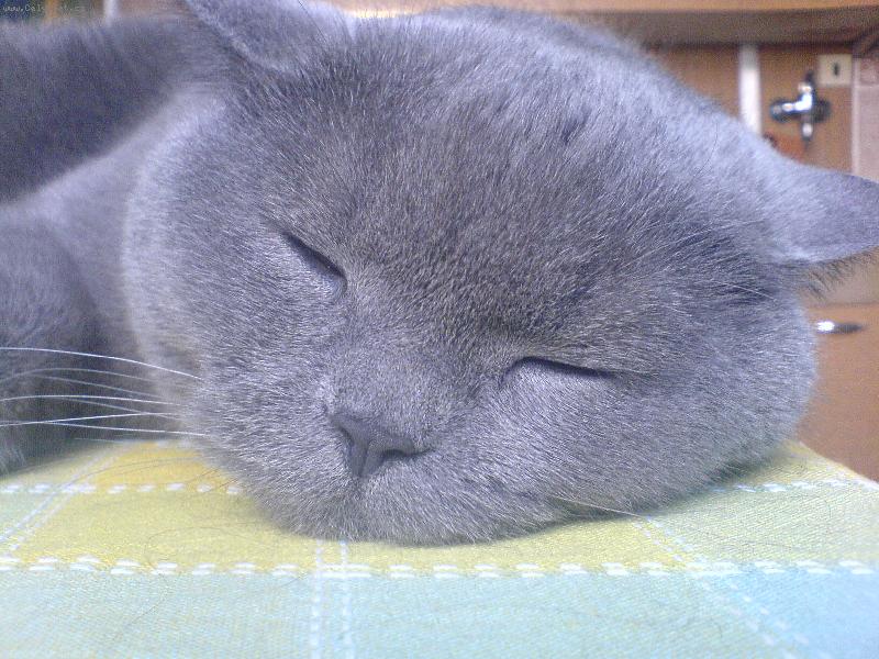 Foto: Tlami�ka-Osk�rek