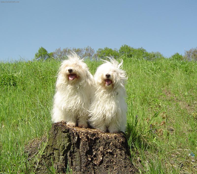 Foto: Matka s dcerou-na jarn� proch�zce